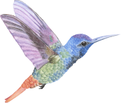 "Аянат - сұлу" бөбекжай балабақшасы жауапкершілігі шектеулі серіктестігі